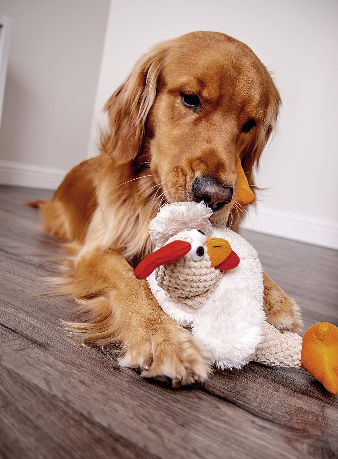 Fat Rooster Squeaky Plush Dog Toy, Chew Guard Technology - White, Large